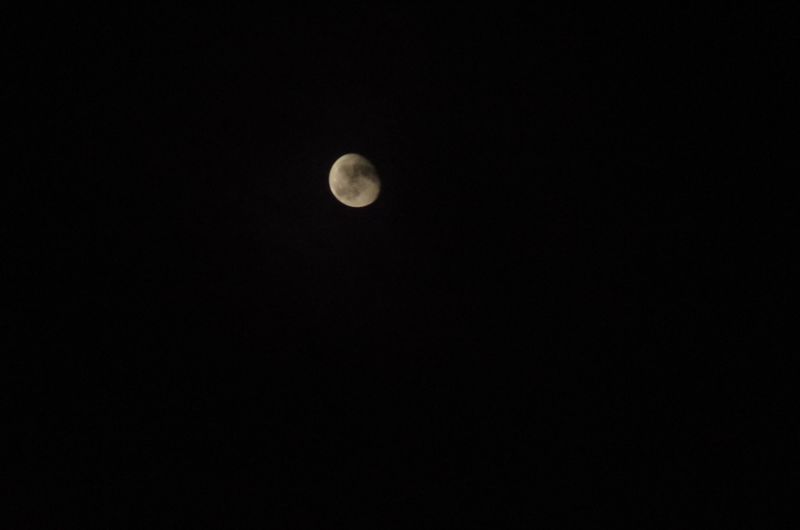 File:IMGP2474.JPG