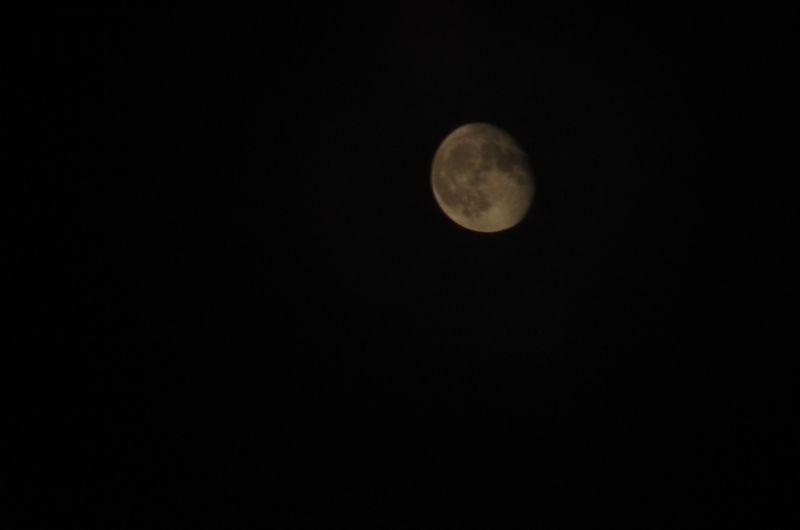 File:IMGP2453.JPG