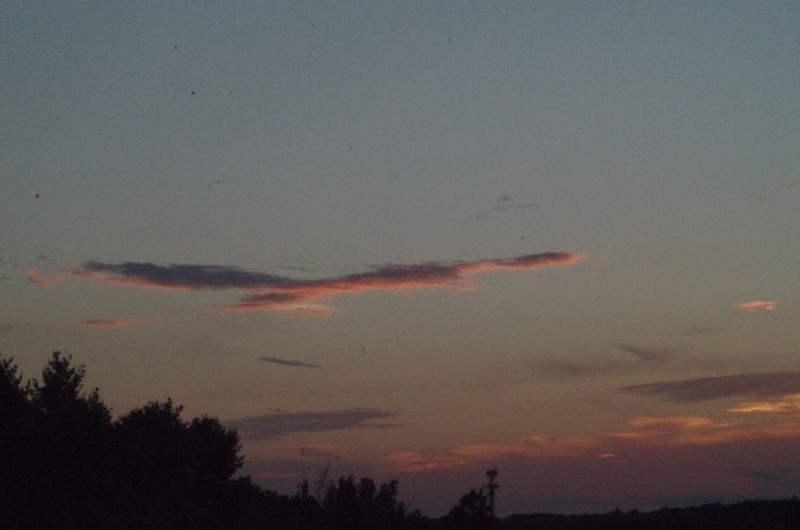 File:IMGP2391.JPG