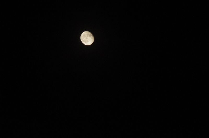 File:IMGP2471.JPG