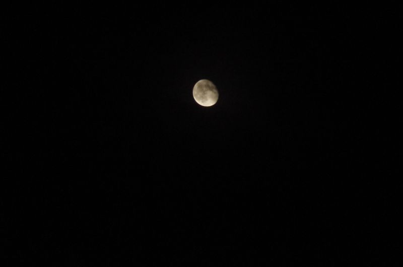 File:IMGP2472.JPG