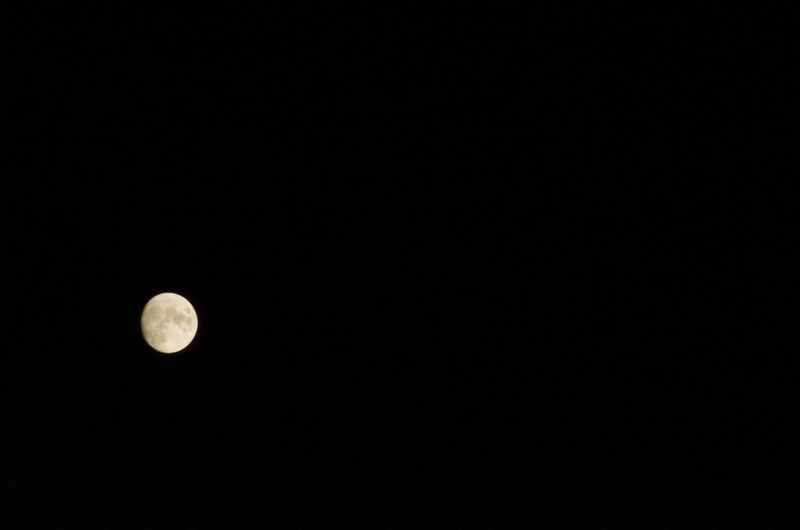 File:IMGP2430.JPG