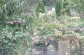 Thumbnail for version as of 10:46, 19 September 2021
