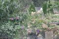 Thumbnail for version as of 10:45, 19 September 2021