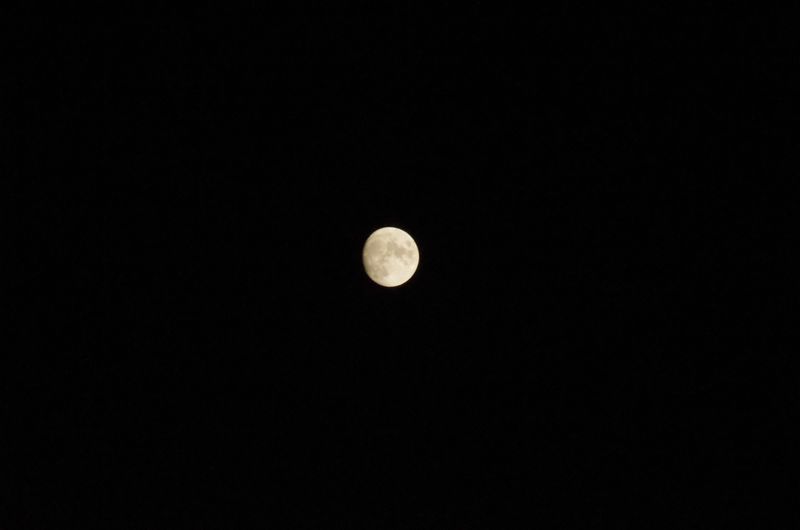 File:IMGP2431.JPG